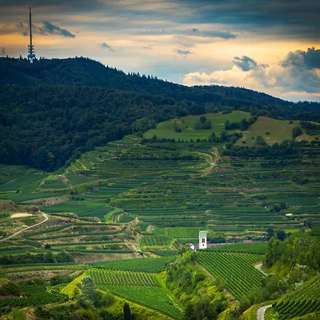 Weissburgunder Апартаменты *